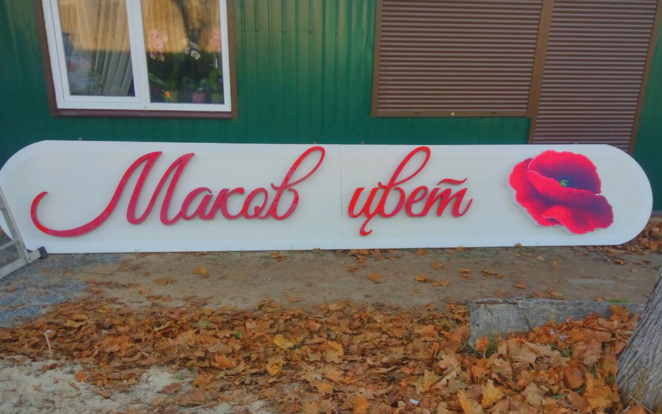 Световые буквы для компании «Маков цвет»
