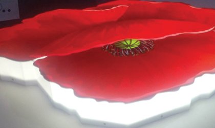 для компании Маков Цвет.