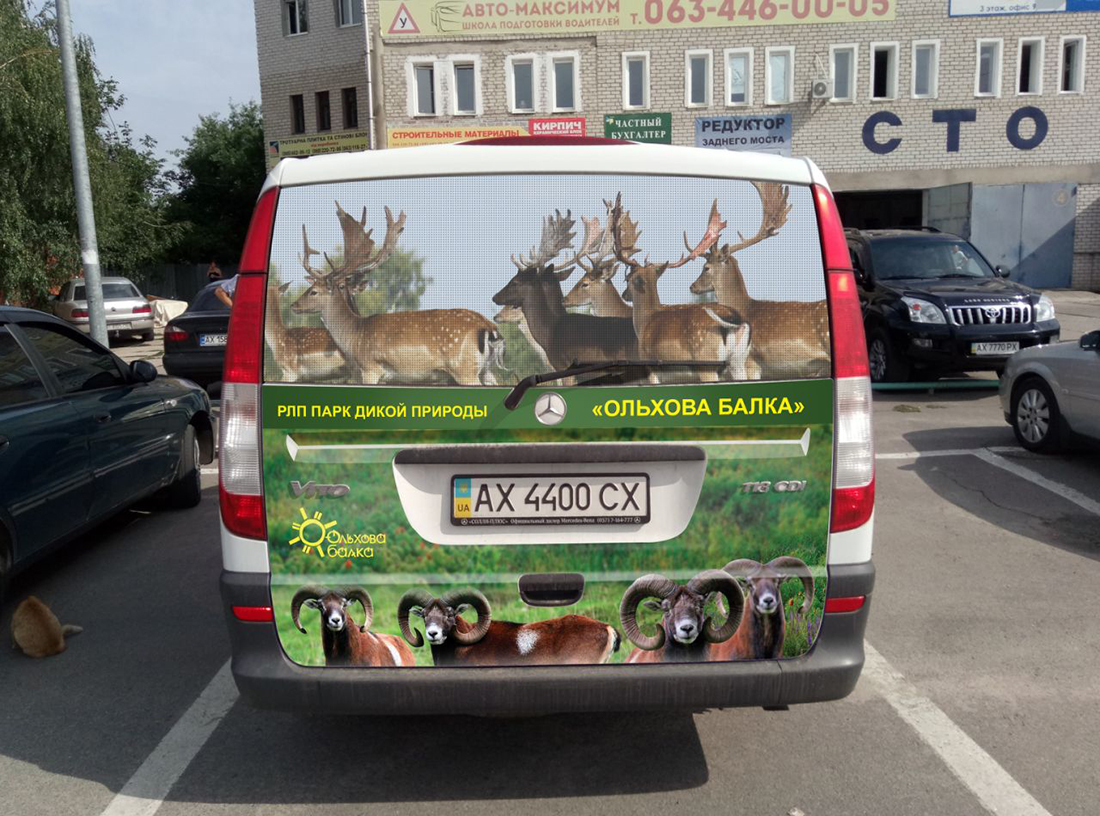 Стильный дизайн