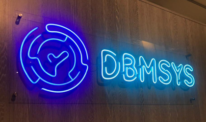 Неоновая вывеска DBMSYS