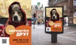 Забрендуйся, Друг!