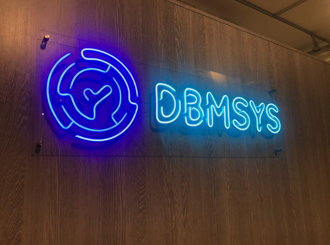 DBMSYS-neon